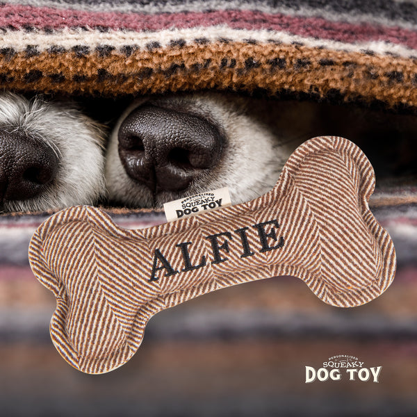 Squeaky Bone Dog Toy Alfie