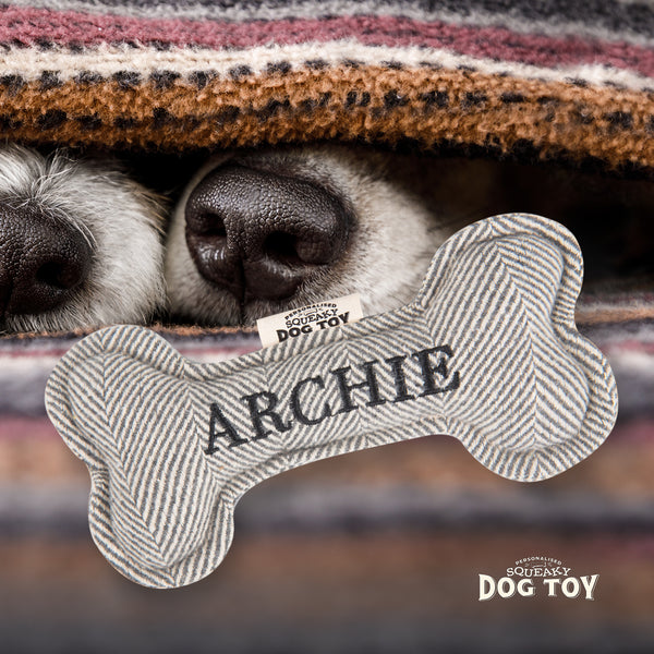 Squeaky Bone Dog Toy Archie