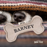 Squeaky Bone Dog Toy Barney