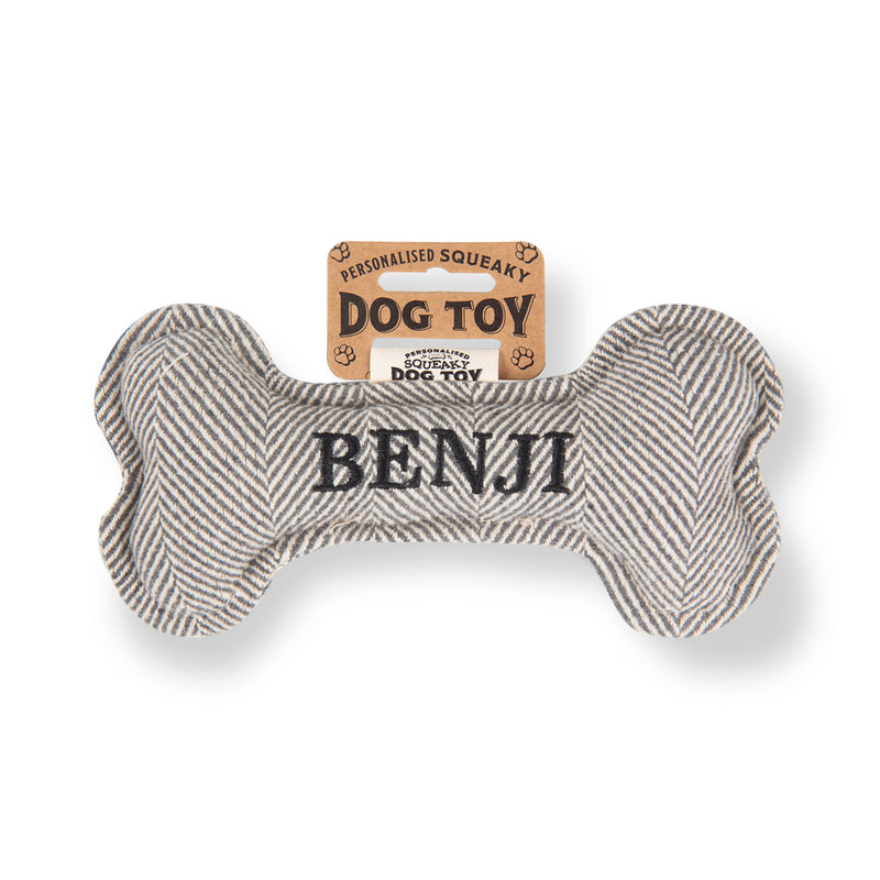 Squeaky Bone Dog Toy Benji