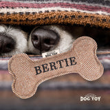 Squeaky Bone Dog Toy Bertie