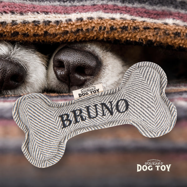 Squeaky Bone Dog Toy Bruno