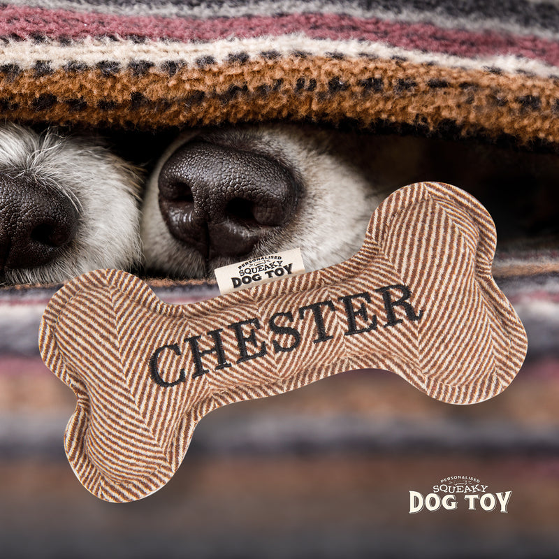 Squeaky Bone Dog Toy Chester