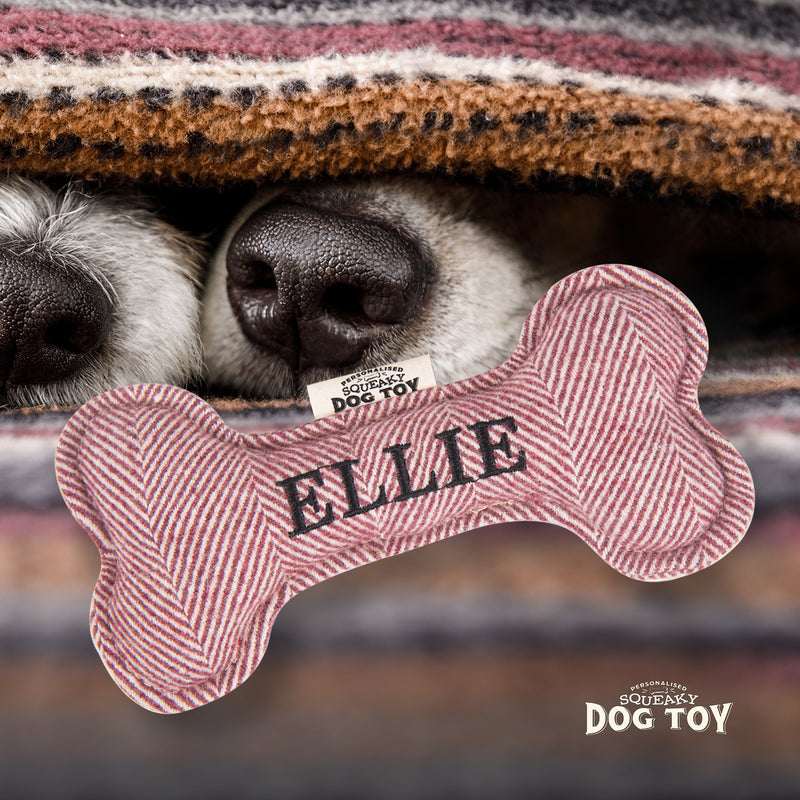 Squeaky Bone Dog Toy Ellie