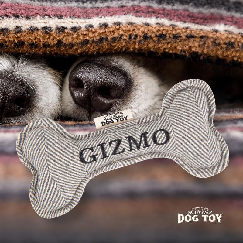 Squeaky Bone Dog Toy Gizmo