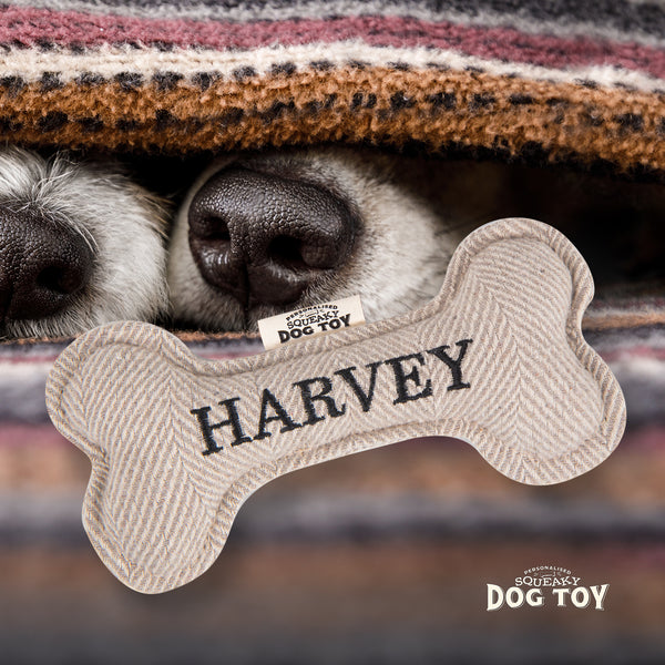 Squeaky Bone Dog Toy Harvey