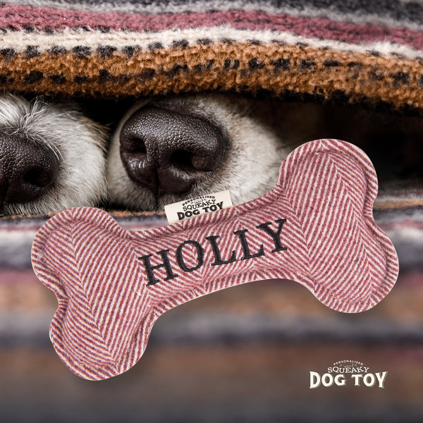 Squeaky Bone Dog Toy Holly