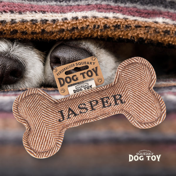 Squeaky Bone Dog Toy Jasper