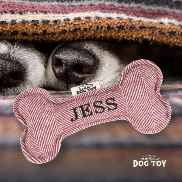 Squeaky Bone Dog Toy Jess