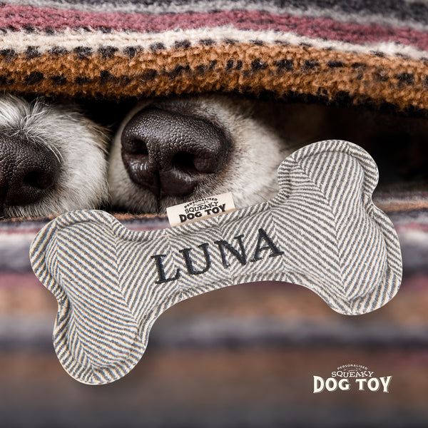 Squeaky Bone Dog Toy Luna