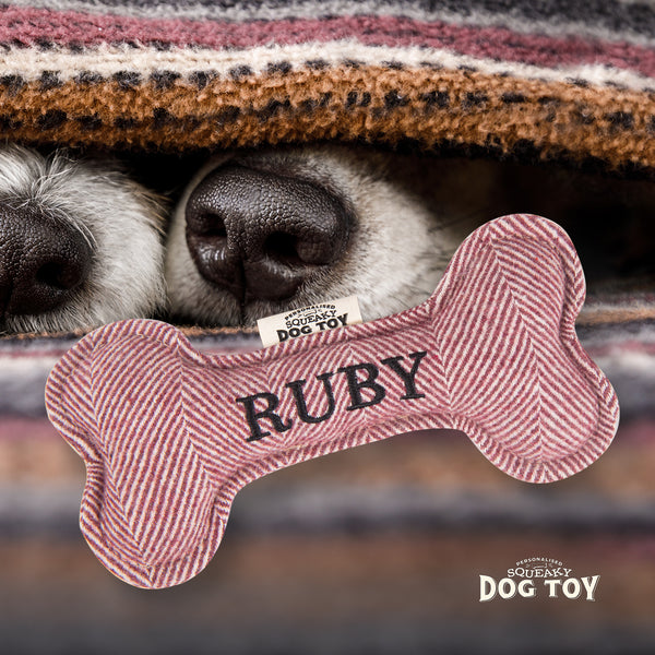 Squeaky Bone Dog Toy Ruby