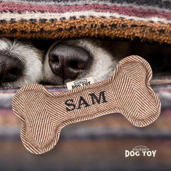 Squeaky Bone Dog Toy Sam