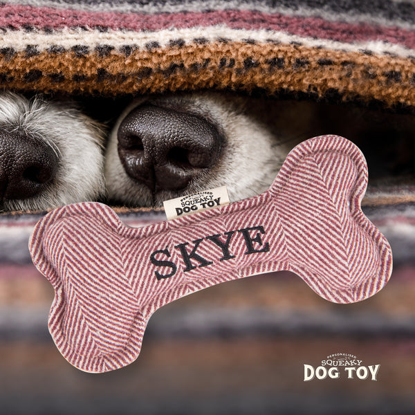 Squeaky Bone Dog Toy Skye