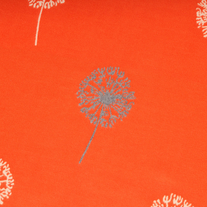 New Allium Super Soft Cape Orange