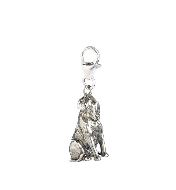 Hagrids Dog Fang Clip On Charm