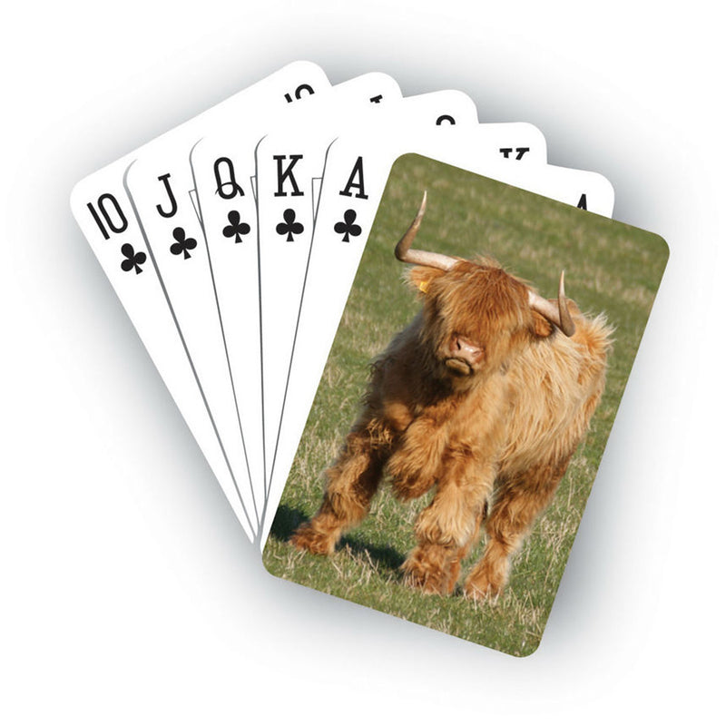 Playing Card - Highland Cow