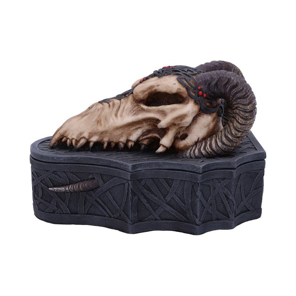 Dragon Skull Box (Monte Moore) 17.7Cm