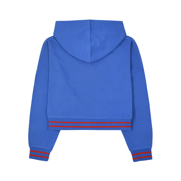 Superman Logo Crop Hoodie