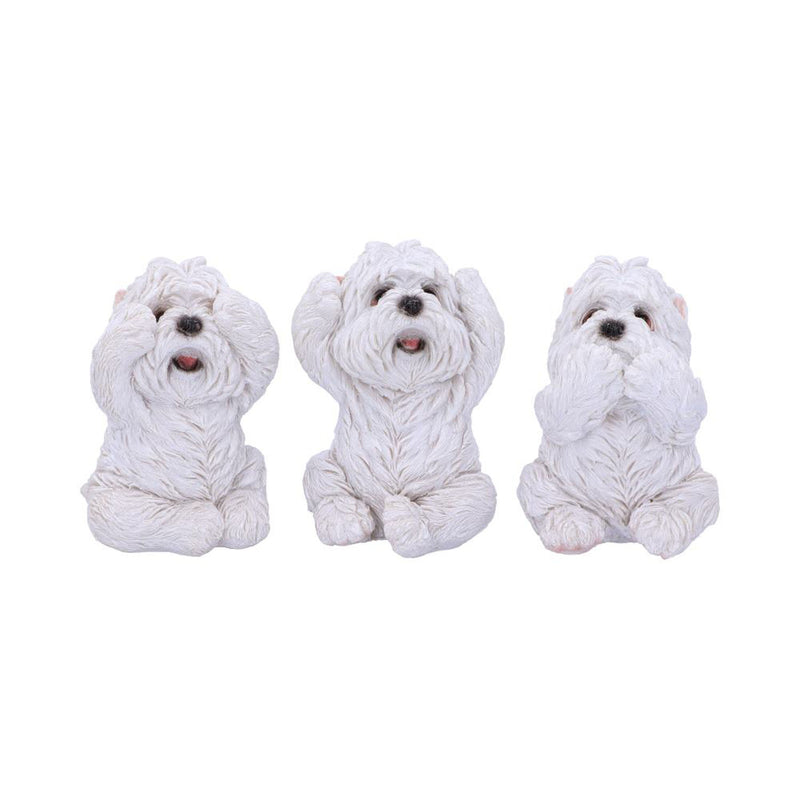 Three Wise Westies