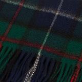 Cashmere Scottish Tartan Clan Scarf Robertson Hunting