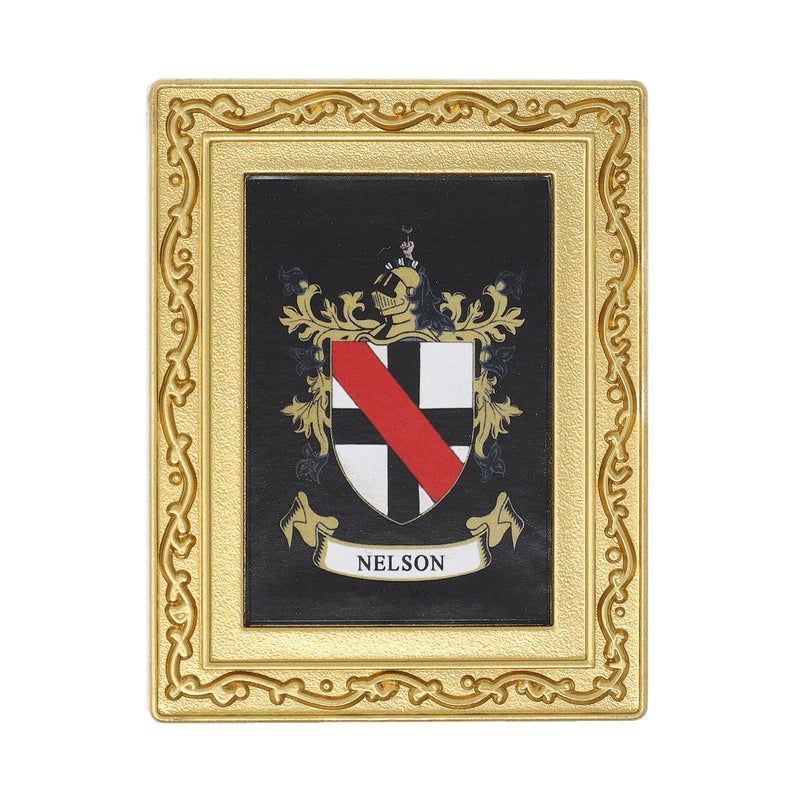 Coat Of Arms Fridge Magnet Nelson