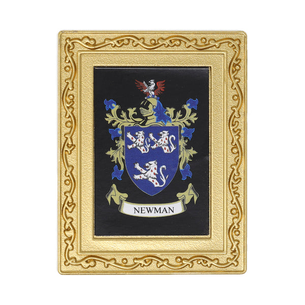 Coat Of Arms Fridge Magnet Newman