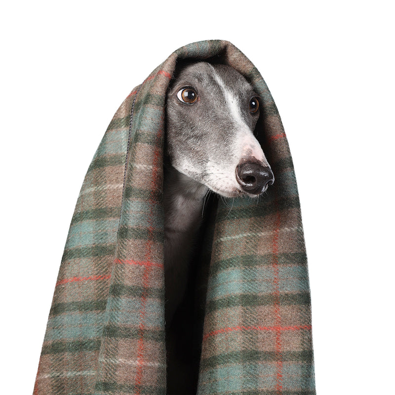 Tartan Pet Blanket Fraser Hunting Weathered