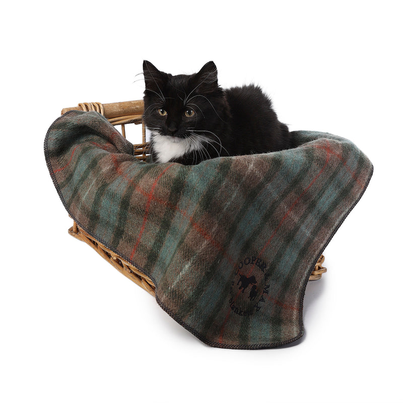 Tartan Pet Blanket Fraser Hunting Weathered