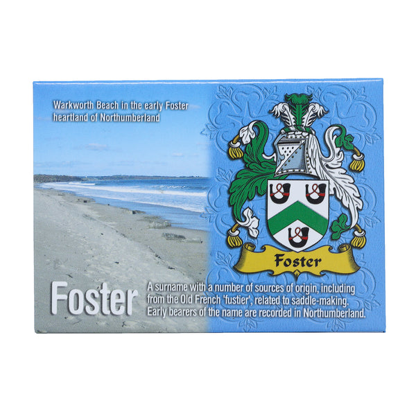 Scenic Metallic Magnet Wales Ni Eng Foster