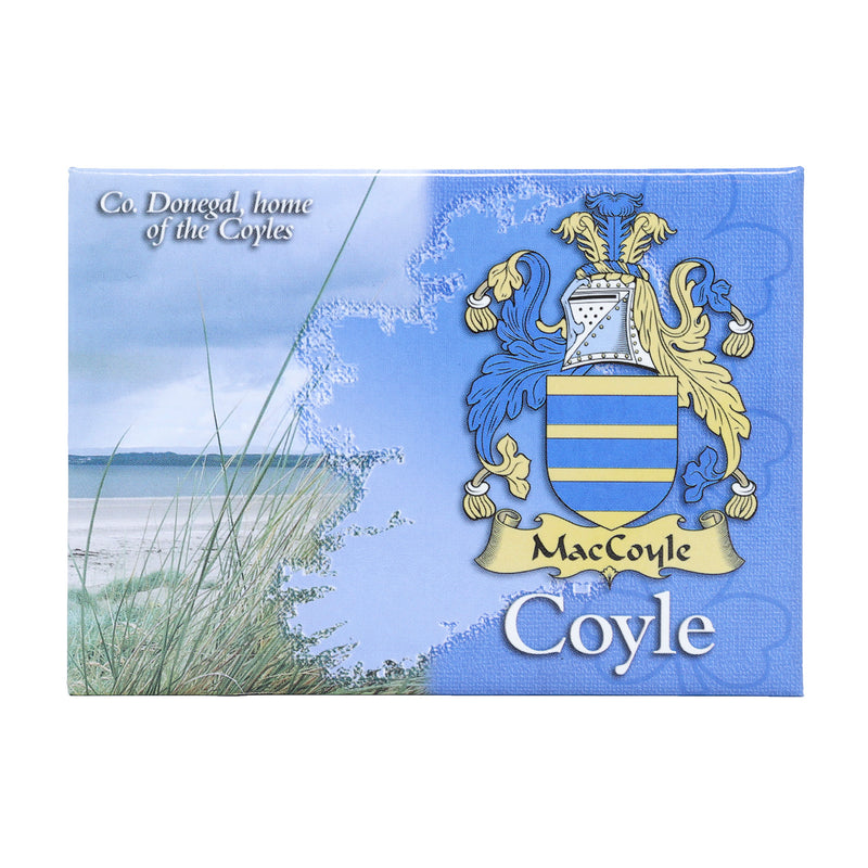 Scenic Metallic Magnet Ireland Coyle