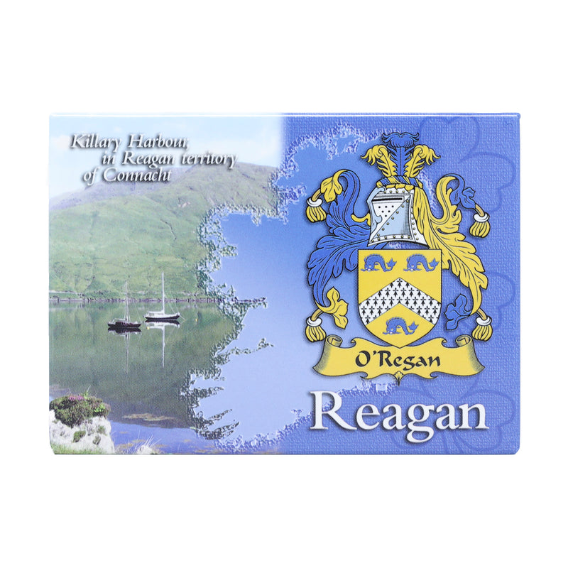 Scenic Metallic Magnet Ireland Reagan