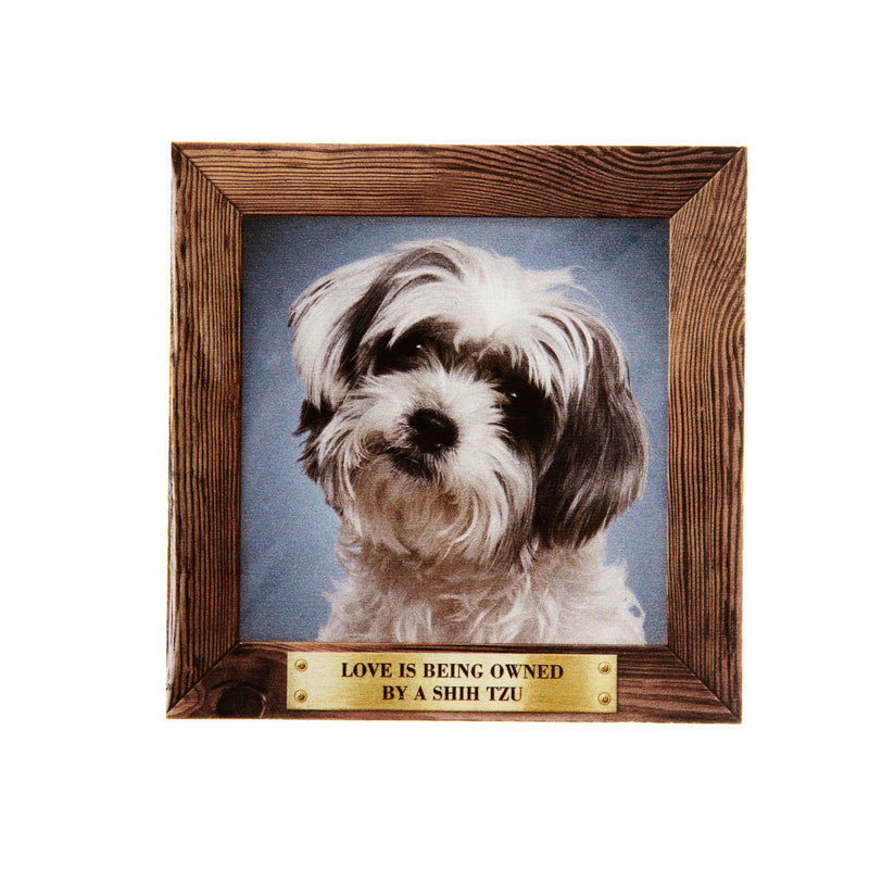 Pet Fridge Magnet Big Shih Tzu