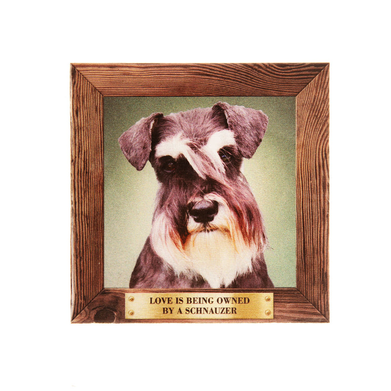 Pet Fridge Magnet Big Schnauzer