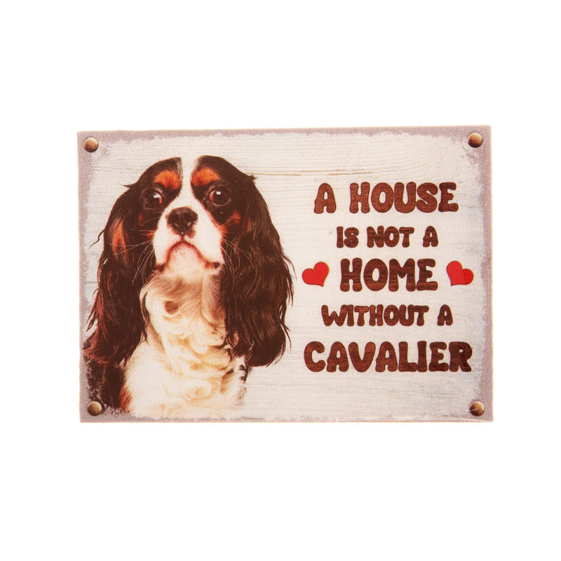 Pet Fridge Magnet Small Cavalier King Charles Spaniel Black